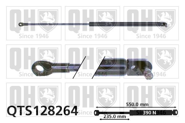 QUINTON HAZELL Bagklapsdæmper QTS128264 QTS128264 Støddæmper til bagklap FIAT SEDICI QUINTON HAZELL