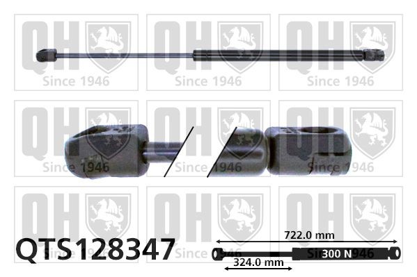 QUINTON HAZELL Motorhaubendämpfer QTS128347 QTS128347 QUINTON HAZELL VW Passat 3BG Haubenlifter Preis