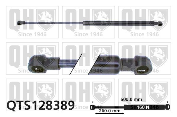 Gasveer achterklep QUINTON HAZELL QTS128389 QUINTON HAZELL QTS128389: Gasveer kofferruimte Lancia Y 2001