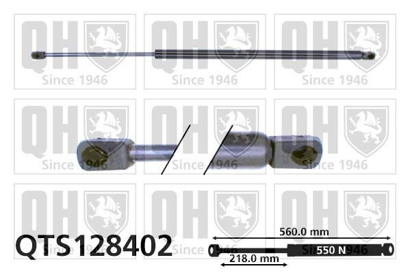 QUINTON HAZELL Gāzes atspere, Bagāžas / Kravas nodalījuma vāks QTS128402 QUINTON HAZELL QTS128402 orģinālās Bagāžnieka amortizatori Peugeot 406 Universālis cena