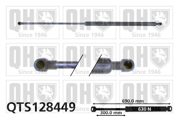 QUINTON HAZELL Kaasujousi, tavaratila QTS128449 QUINTON HAZELL QTS128449 Nissan Kubistar Van X80 takaluukun kaasujousi vaihto hinta
