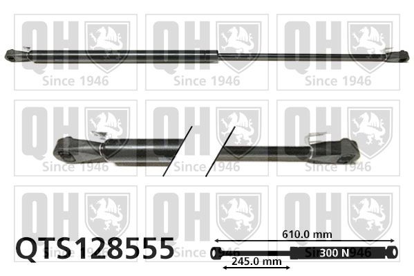 QUINTON HAZELL Gasveer achterklep QTS128555 QUINTON HAZELL QTS128555 Gasveer achterklep RENAULT 5 originele