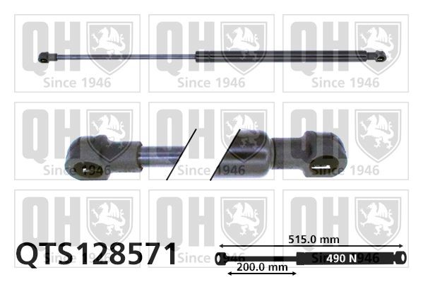 Gasveer achterklep QUINTON HAZELL QTS128571 QUINTON HAZELL QTS128571: Gasveer kofferbak Rover 45 2004