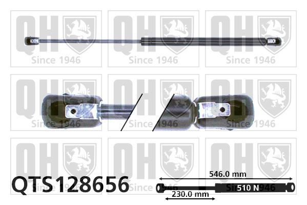 QUINTON HAZELL Gasveer achterklep QTS128656 QUINTON HAZELL QTS128656 Gasveer achterklep Peugeot 309 I prijs