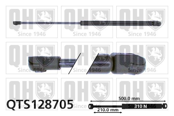 QUINTON HAZELL Ammortizzatore pneumatico cofano motore QTS128705 QUINTON HAZELL QTS128705 Pistoncini cofano Polo 9N originali prezzo