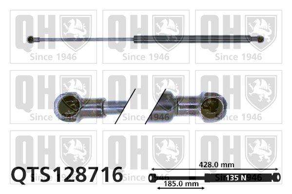 QUINTON HAZELL Gasfeder, Heckscheibe QTS128716 QUINTON HAZELL QTS128716 Kofferraum Stoßdämpfer Renault Scenic 1 Kosten