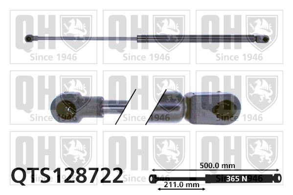 Ammortizatore pneumatico, Cofano bagagli / vano carico QUINTON HAZELL QTS128722 QUINTON HAZELL QTS128722 Ammortizzatore portellone posteriore Volkswagen LUPO 2009