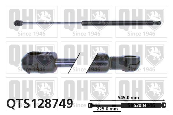 Amortecedor da mala QUINTON HAZELL QTS128749 QUINTON HAZELL QTS128749 Amortecedor porta malas Hyundai COUPE 1999