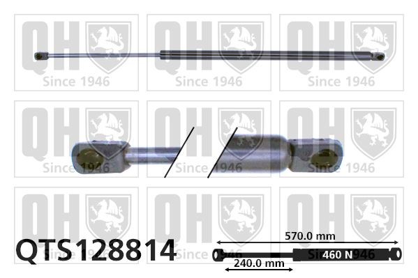 Tailgate strut QUINTON HAZELL QTS128814 QUINTON HAZELL QTS128814 2025 BMW X1 tailgate struts replacement