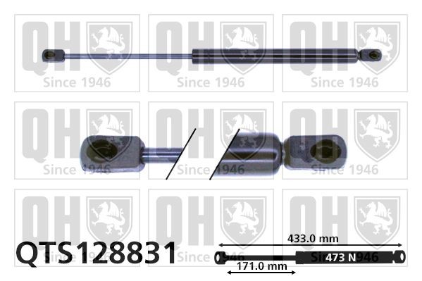 Gasveer motorkap QUINTON HAZELL QTS128831 QUINTON HAZELL QTS128831 Gasveer motorkap MERCEDES-BENZ CLK 2000