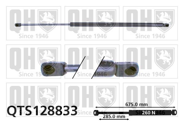 QUINTON HAZELL Vérin de capot QTS128833 Mercedes-Benz CLK Vérin de capot QUINTON HAZELL QTS128833