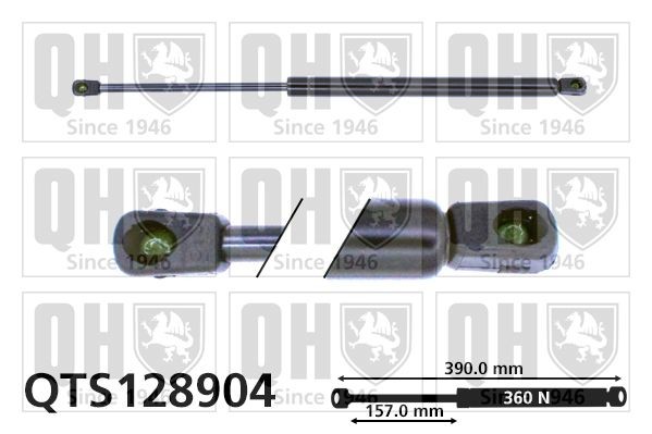 QUINTON HAZELL Ammortizzatore pneumatico cofano motore QTS128904 QUINTON HAZELL QTS128904 Pistoncini cofano VW T5 originale prezzo