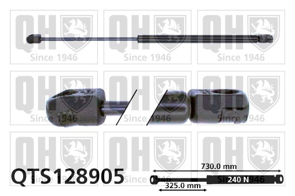 QUINTON HAZELL Plynová vzpera, kapota motora QTS128905 QUINTON HAZELL QTS128905 Plynová vzpera kapota motora Golf 5 cena
