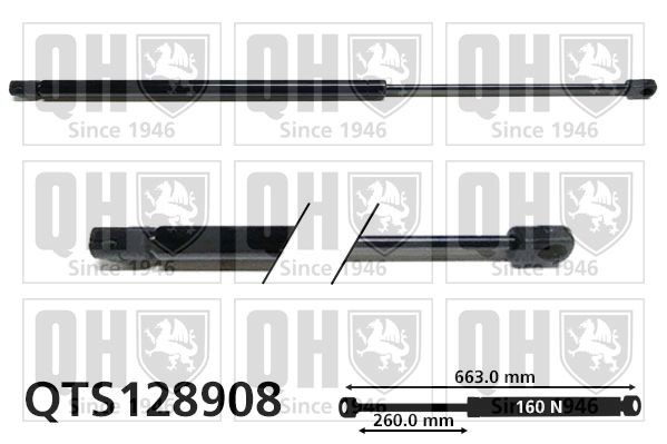 QUINTON HAZELL Amortecedor da mala QTS128908 QUINTON HAZELL QTS128908 Amortecedor da mala Land Rover Freelander 1 a um preço acessível