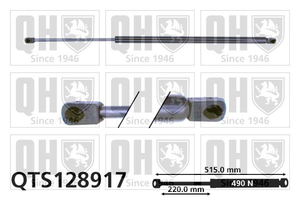 Gasveer achterklep QUINTON HAZELL QTS128917 QUINTON HAZELL QTS128917: Gasveer kofferruimte Kia CARENS 2003