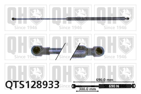 Ammortizatore pneumatico, Cofano bagagli / vano carico QUINTON HAZELL QTS128933 QUINTON HAZELL QTS128933 Ammortizzatore portellone posteriore HONDA STREAM 2022