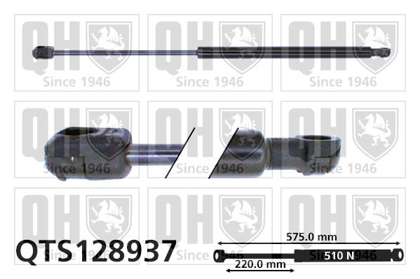 Gaasivedru, pagasi- / veoruum QUINTON HAZELL QTS128937 QUINTON HAZELL QTS128937 Tagaluugi amort HYUNDAI ACCENT 2019