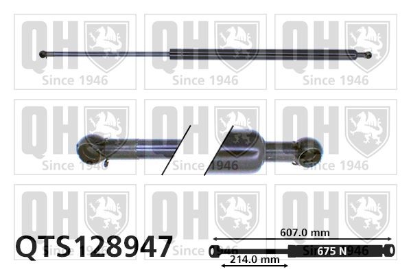 Pneumatická prużina, Batożinový / nákladný priestor QUINTON HAZELL QTS128947 QUINTON HAZELL QTS128947: Tlmiče kufra Jeep WRANGLER 2019
