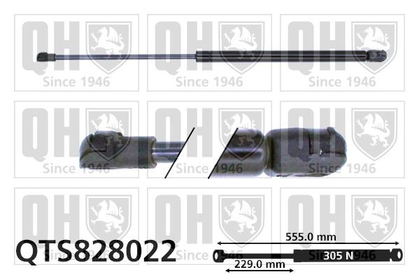 Αμορτ. αερίου, χώρος αποσκ. / φόρτωσης QUINTON HAZELL QTS828022 QUINTON HAZELL QTS828022 Μπουκάλες πορτ μπαγκάζ Peugeot 107 2012