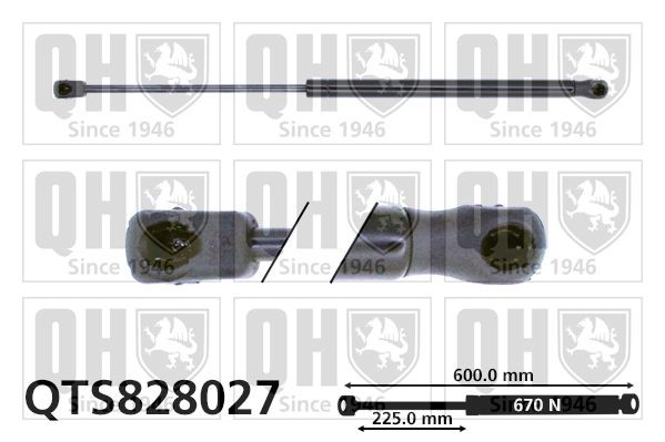 Gasveer achterklep QUINTON HAZELL QTS828027 QUINTON HAZELL QTS828027 Gasveer kofferruimte CITROËN NEMO 2017
