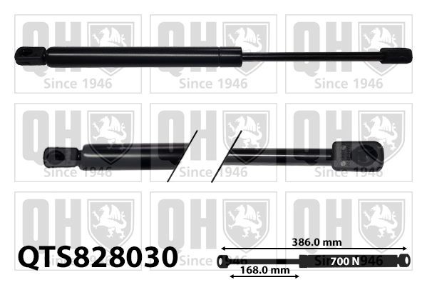 Gasveer achterklep QUINTON HAZELL QTS828030 QUINTON HAZELL QTS828030 Achterklep veren DAEWOO TACUMA 2006