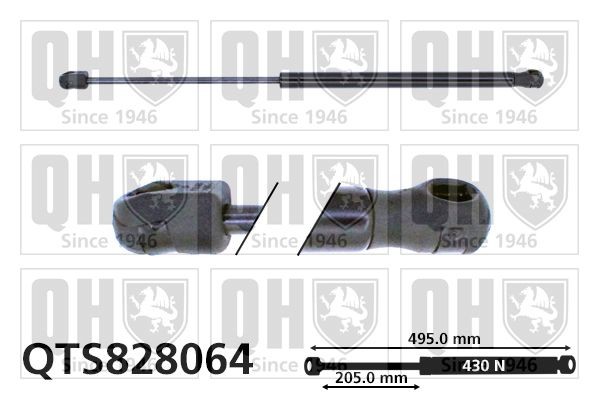 QUINTON HAZELL Gasveer achterklep QTS828064 Mercedes-Benz R-Klasse Gasveer achterklep QUINTON HAZELL QTS828064