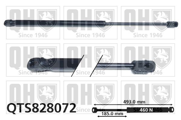 QUINTON HAZELL Pneumatická prużina, Batożinový / nákladný priestor QTS828072 QUINTON HAZELL QTS828072 Tlmiče kufra Mini Countryman R60 cena