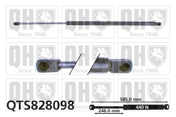 QUINTON HAZELL Αμορτ. αερίου, χώρος αποσκ. / φόρτωσης QTS828098 QUINTON HAZELL QTS828098 Μπουκάλες πορτ μπαγκάζ Skoda Favorit Pick-up 787 φθηνά