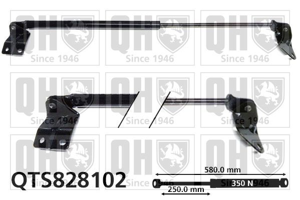 Vérin de coffre QUINTON HAZELL QTS828102 QUINTON HAZELL QTS828102: Hayon électrique Suzuki ALTO 2019