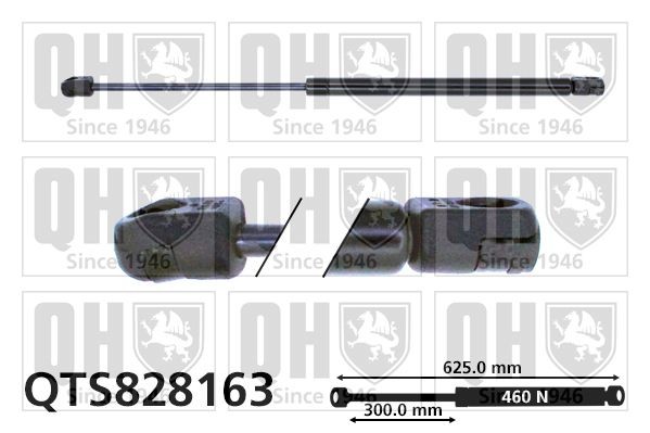 QUINTON HAZELL Bagklapsdæmper QTS828163 Bagklapsdæmper QUINTON HAZELL SEDICI QTS828163 billig