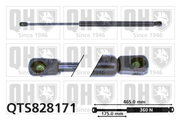 QUINTON HAZELL Amortecedor da mala QTS828171 Amortecedor da porta QUINTON HAZELL SANTA FE QTS828171 baratos