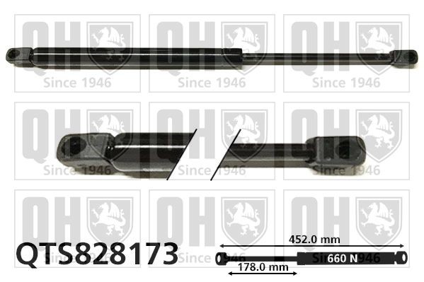 QUINTON HAZELL Ammortizatore pneumatico, Cofano bagagli / vano carico QTS828173 QTS828173 Pistoni portellone HYUNDAI IONIQ QUINTON HAZELL costo