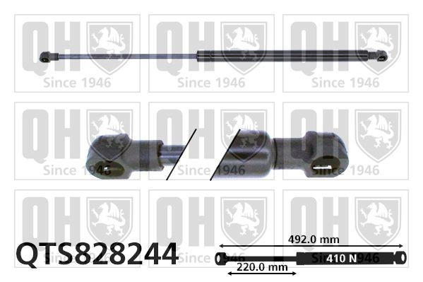 Gasfjäder till baklucka QUINTON HAZELL QTS828244 QUINTON HAZELL QTS828244: Gasfjäder baklucka Toyota PRIUS 2006