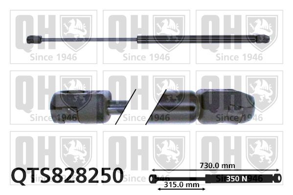 QUINTON HAZELL Gāzes atspere, Motora pārsegs QTS828250 Gāzes amortizators motora pārsegs QUINTON HAZELL Volkswagen JETTA QTS828250