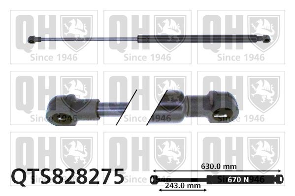 QUINTON HAZELL Gasveer achterklep QTS828275 QUINTON HAZELL QTS828275 Achterklep veren Skoda YETI originele