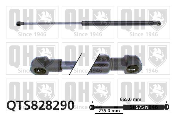 QUINTON HAZELL Amortecedor da mala QTS828290 QTS828290 QUINTON HAZELL Amortecedor de tampa Jeep baratos