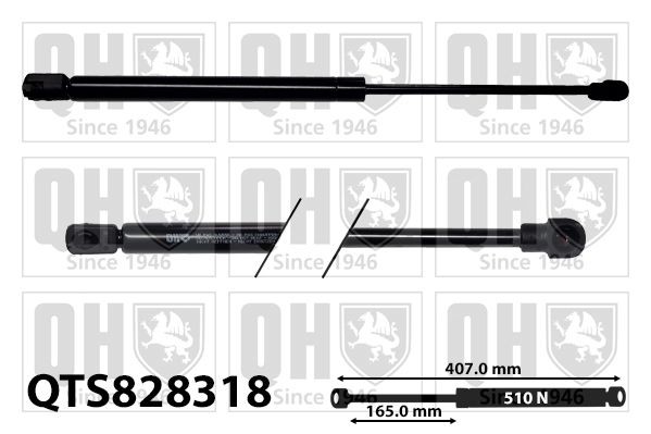 QUINTON HAZELL Gāzes atspere, Motora pārsegs QTS828318 Gāzes amortizators motora pārsegs QUINTON HAZELL Volkswagen JETTA QTS828318