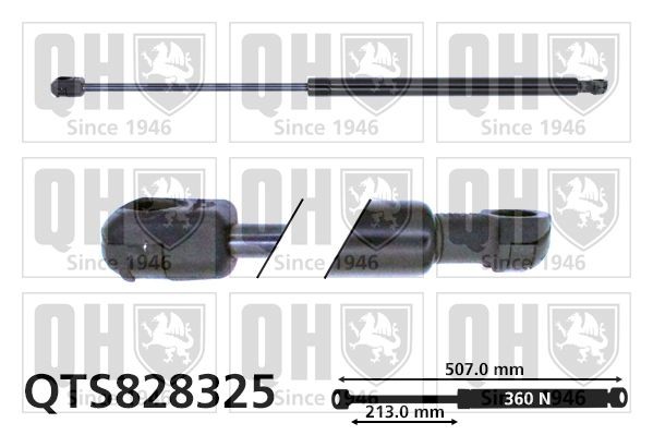 Baklukedemper QUINTON HAZELL QTS828325 QUINTON HAZELL QTS828325: Bakluke demper Fiat BRAVO 2011