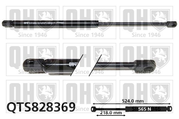 Gaasivedru, pagasi- / veoruum QUINTON HAZELL QTS828369 QUINTON HAZELL QTS828369: Luugiamordid Honda ACCORD 2020