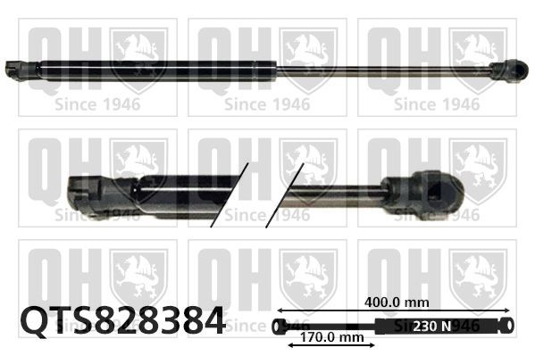 QUINTON HAZELL Plynová vzpera, kapota motora QTS828384 QUINTON HAZELL QTS828384 Plynová vzpera kapota motora Land Rover L405 cena