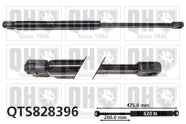 Amortecedor da mala QUINTON HAZELL QTS828396 QUINTON HAZELL QTS828396 Amortecedor da porta RENAULT CAPTUR 2013