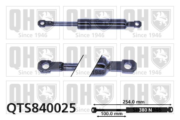 QUINTON HAZELL Plynová vzpera, kapota motora QTS840025 QUINTON HAZELL QTS840025 Plynová vzpěra kapoty BMW E30 Cabrio lacné
