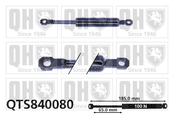 QUINTON HAZELL Gasfeder, Klapptisch QTS840080 QUINTON HAZELL QTS840080 Gasfeder, Klapptisch LAND ROVER Range Rover II (P38A) 4.6 4x4 218 PS 2001