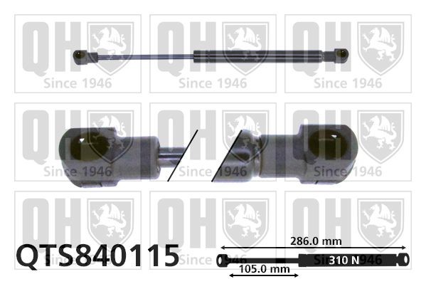 QUINTON HAZELL Ammortizatore pneumatico, Cofano bagagli / vano carico QTS840115 QUINTON HAZELL QTS840115 Pistoni portellone Peugeot 406 Coupe prezzo