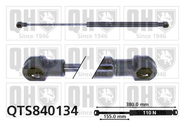 QUINTON HAZELL Bagklapsdæmper QTS840134 Dæmper til bagklap QUINTON HAZELL SEDICI QTS840134 billig