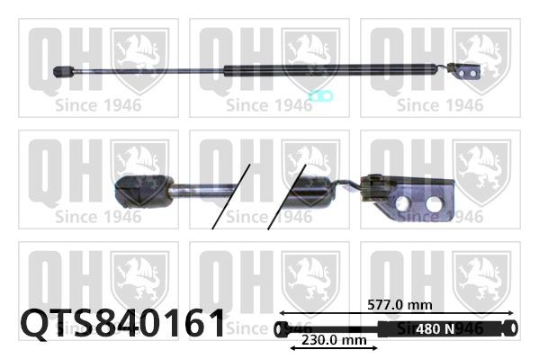 Gaasivedru, pagasi- / veoruum QUINTON HAZELL QTS840161 QUINTON HAZELL QTS840161: Tagaluugi amort Hyundai ACCENT 2019