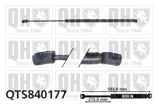 Gasfjäder till baklucka QUINTON HAZELL QTS840177 QUINTON HAZELL QTS840177 Gasfjäder baklucka SEAT ALHAMBRA 2002