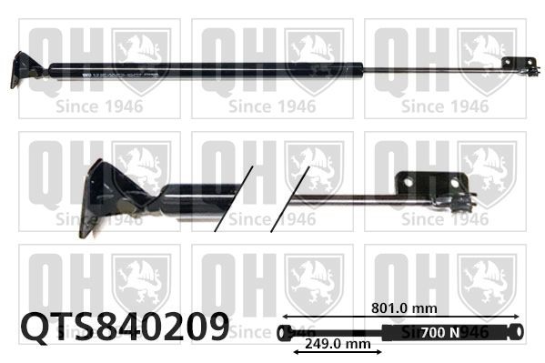 Bagklapsdæmper QUINTON HAZELL QTS840209 QUINTON HAZELL QTS840209 Støddæmper til bagklap HYUNDAI H100 2021