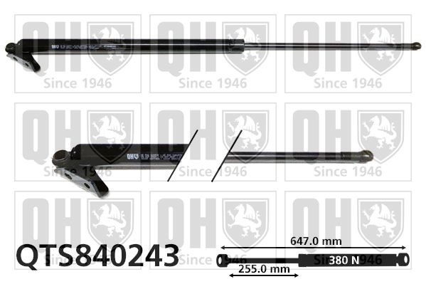 Vérin de coffre QUINTON HAZELL QTS840243 QUINTON HAZELL QTS840243 Verin de hayon MITSUBISHI GALANT 2018