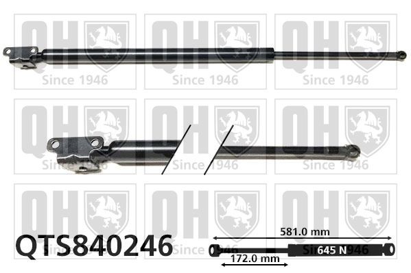 Vérin de coffre QUINTON HAZELL QTS840246 QUINTON HAZELL QTS840246 Vérin électrique de coffre MITSUBISHI GALANT 2018